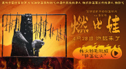 八戒八戒视频在线观看免费5